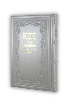 Tehillim with English Silver Leather 5 x 8